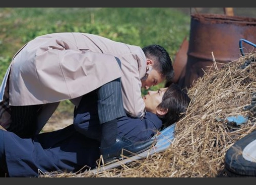 映画『正直不動産』