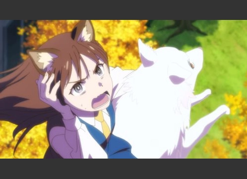 この本を盗む者は
