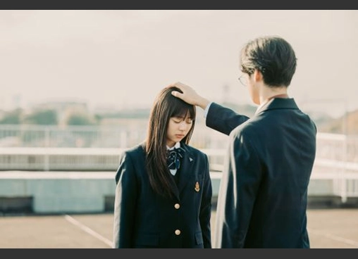 楓