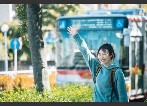 楓