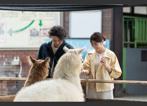 さとこはいつも
