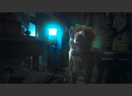 GOOD BOY／グッド・ボーイ