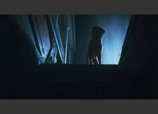GOOD BOY／グッド・ボーイ