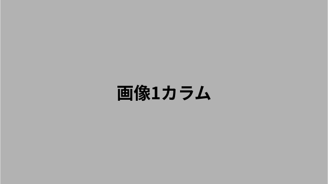 ダミー画像