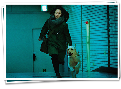 見えない目撃者