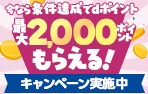 はずれなし!絶対もらえる dポイントキャンペーン