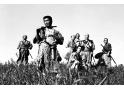 七人の侍 新4Kリマスター版