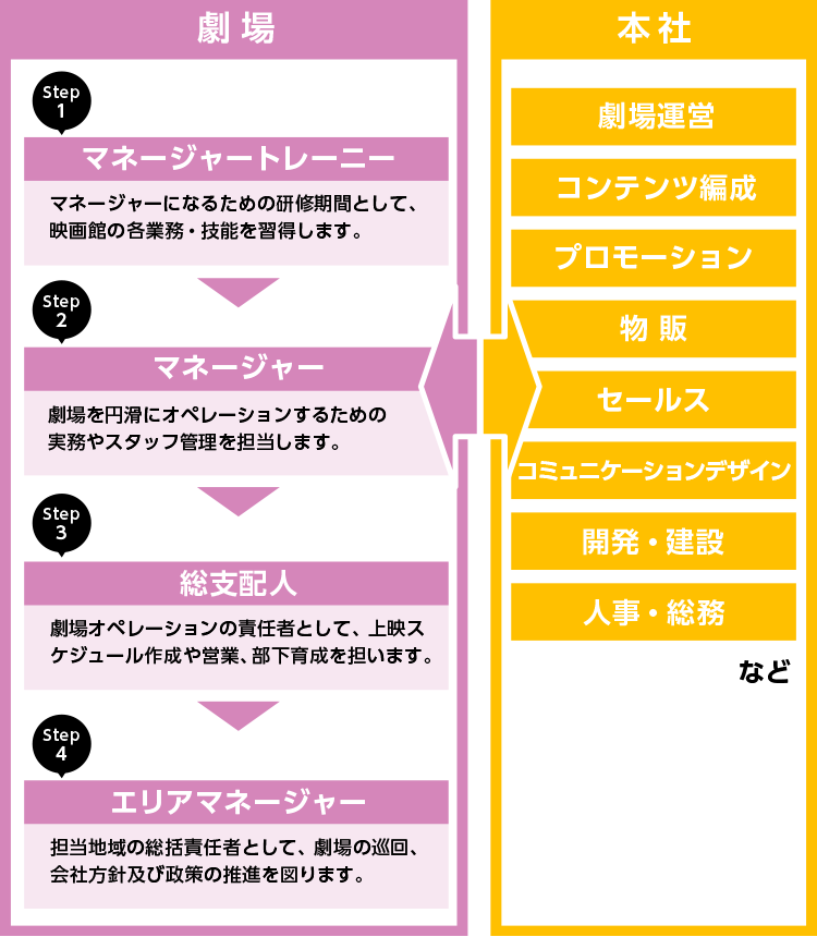 キャリアプラン(一例)
